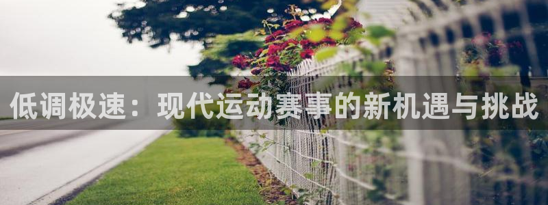 919看足球直播