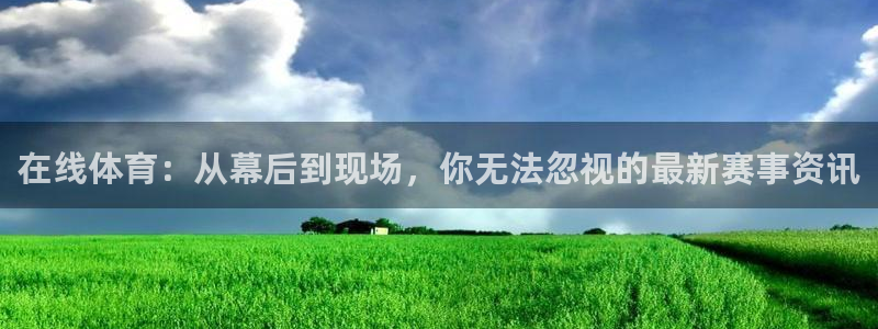 919看球直播