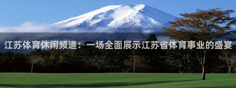 919体育直播下载