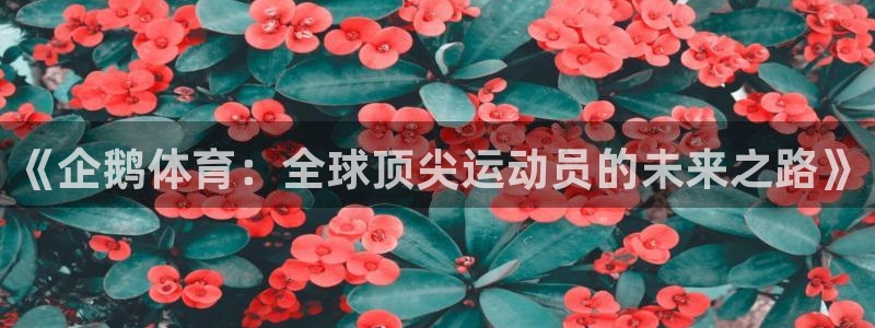 919体育直播在线观看