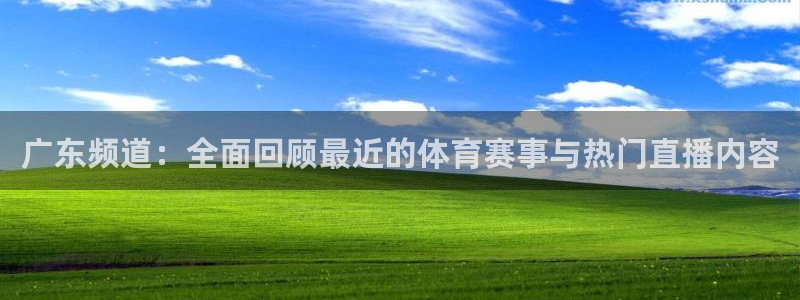 919看球软件