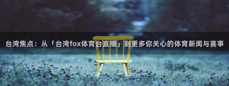 919直播看球