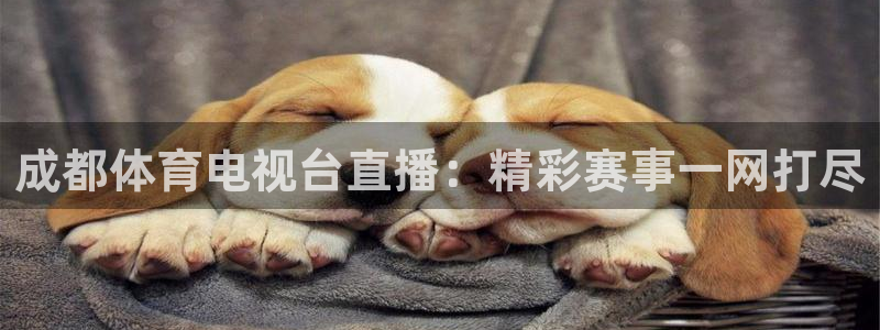 919nba直播篮球比赛：成都体育电视台直播：精彩赛事一网打尽