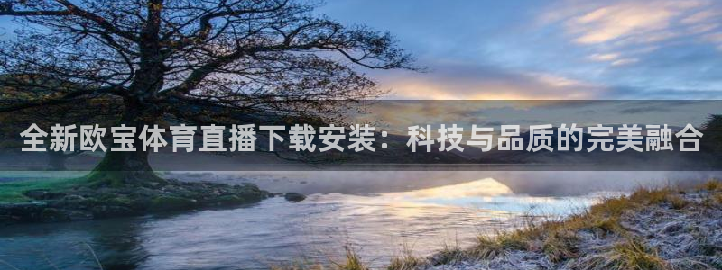 919直播间：全新欧宝体育直播下载安装：科技与品质的完美融合