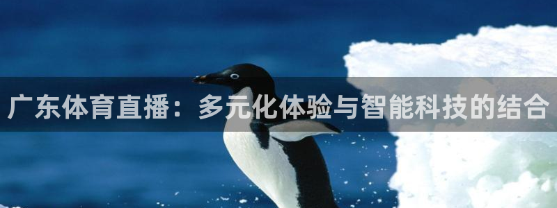 919直播看球 篮球比赛：广东体育直播：多元化体验与智能科技的结合