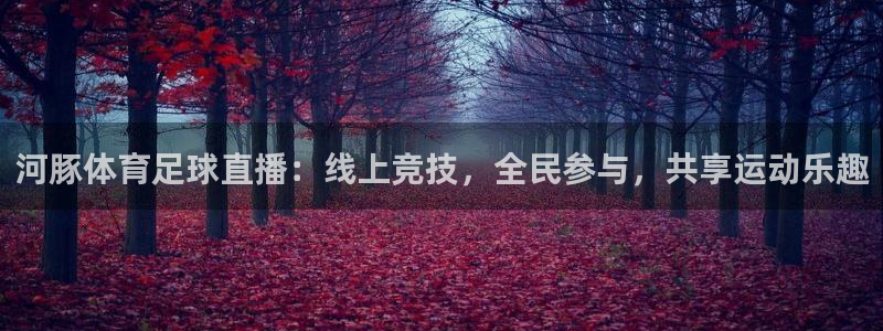 919直播足球版本1.0.7：河豚体育足球直播：线上竞技，全民参与，共享运动乐趣