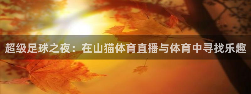 919球赛直播：超级足球之夜：在山猫体育直播与体育中寻找乐趣