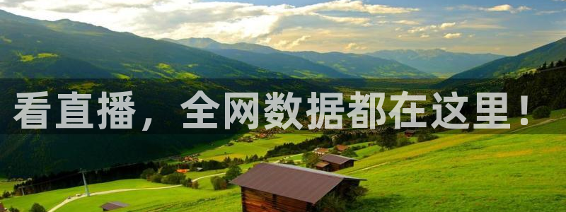 919看球直播官网入口：看直播，全网数据都在这里！