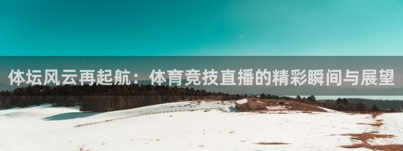 919看足球直播：体坛风云再起航：体育竞技直播的精彩瞬间与展望